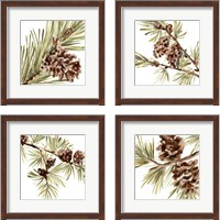 Framed 'Simple Pine Cone 4 Piece Framed Art Print Set' border=