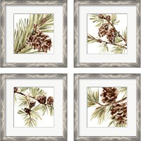 Framed 'Simple Pine Cone 4 Piece Framed Art Print Set' border=