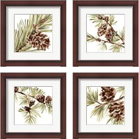 Framed Simple Pine Cone 4 Piece Framed Art Print Set