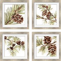 Framed 'Simple Pine Cone 4 Piece Framed Art Print Set' border=