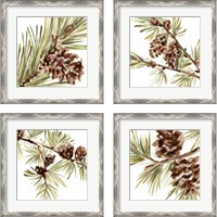 Framed 'Simple Pine Cone 4 Piece Framed Art Print Set' border=