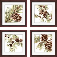 Framed 'Simple Pine Cone 4 Piece Framed Art Print Set' border=