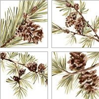 Framed 'Simple Pine Cone 4 Piece Art Print Set' border=