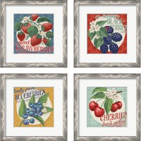 Framed 'Berry Breeze 4 Piece Framed Art Print Set' border=