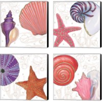 Framed Shimmering Shells 4 Piece Canvas Print Set