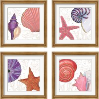 Framed 'Shimmering Shells 4 Piece Framed Art Print Set' border=