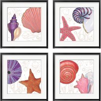 Framed 'Shimmering Shells 4 Piece Framed Art Print Set' border=