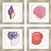 Framed 'Shimmering Shells 4 Piece Framed Art Print Set' border=