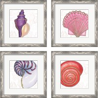 Framed Shimmering Shells 4 Piece Framed Art Print Set