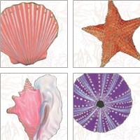 Framed 'Shimmering Shells 4 Piece Art Print Set' border=