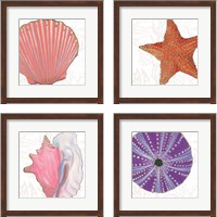 Framed 'Shimmering Shells 4 Piece Framed Art Print Set' border=
