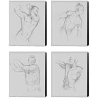 Framed 'Male Torso Sketch 4 Piece Canvas Print Set' border=