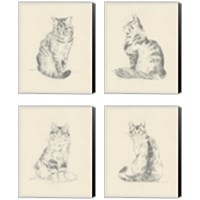 Framed 'House Cat 4 Piece Canvas Print Set' border=