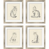 Framed 'House Cat 4 Piece Framed Art Print Set' border=
