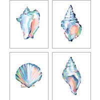 Framed 'Pop Shell Study 4 Piece Art Print Set' border=