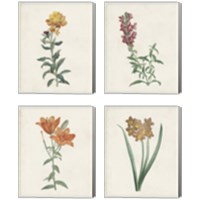 Framed 'Classic Botanicals 4 Piece Canvas Print Set' border=