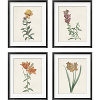 Framed 'Classic Botanicals 4 Piece Framed Art Print Set' border=