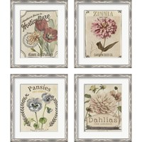 Framed 'Vintage Seed Packets 4 Piece Framed Art Print Set' border=