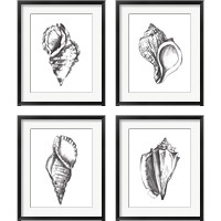 Framed 'Seashell Study 4 Piece Framed Art Print Set' border=