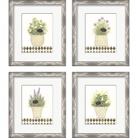 Framed 'Herb 4 Piece Framed Art Print Set' border=
