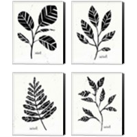Framed Botanical Sketches 4 Piece Canvas Print Set