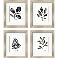 Framed Botanical Sketches 4 Piece Framed Art Print Set