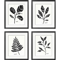 Framed Botanical Sketches 4 Piece Framed Art Print Set