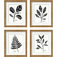 Framed 'Botanical Sketches 4 Piece Framed Art Print Set' border=