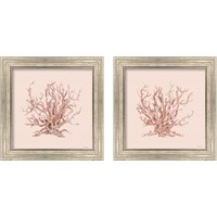 Framed 'Pink Coral  2 Piece Framed Art Print Set' border=