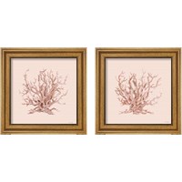 Framed Pink Coral  2 Piece Framed Art Print Set