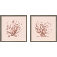 Framed Pink Coral  2 Piece Framed Art Print Set