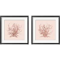 Framed 'Pink Coral  2 Piece Framed Art Print Set' border=