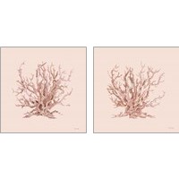 Framed 'Pink Coral  2 Piece Art Print Set' border=