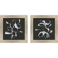 Framed Wildflowers 2 Piece Framed Art Print Set