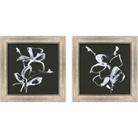 Framed Wildflowers 2 Piece Framed Art Print Set