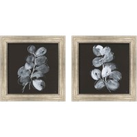 Framed White Eucalyptus 2 Piece Framed Art Print Set