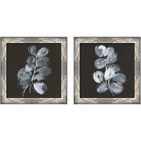 Framed White Eucalyptus 2 Piece Framed Art Print Set