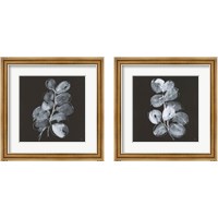 Framed 'White Eucalyptus 2 Piece Framed Art Print Set' border=