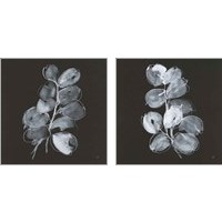 Framed 'White Eucalyptus 2 Piece Art Print Set' border=