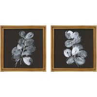 Framed 'White Eucalyptus 2 Piece Framed Art Print Set' border=