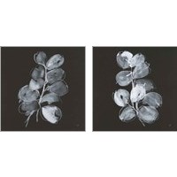 Framed White Eucalyptus 2 Piece Art Print Set
