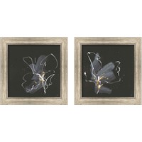 Framed Modern Flower 2 Piece Framed Art Print Set