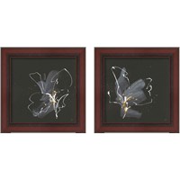 Framed Modern Flower 2 Piece Framed Art Print Set