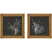 Framed 'Modern Flower 2 Piece Framed Art Print Set' border=