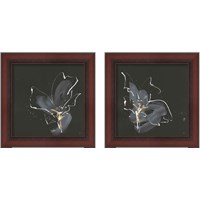 Framed Modern Flower 2 Piece Framed Art Print Set