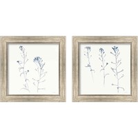 Framed Shepherds Purse Stems 2 Piece Framed Art Print Set