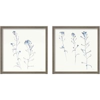 Framed 'Shepherds Purse Stems 2 Piece Framed Art Print Set' border=