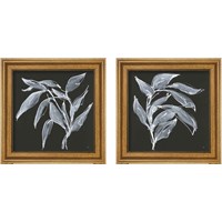 Framed 'Branch  2 Piece Framed Art Print Set' border=