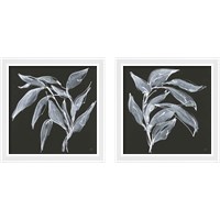 Framed Branch  2 Piece Framed Art Print Set