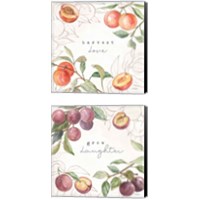 Framed 'In the Orchard 2 Piece Canvas Print Set' border=